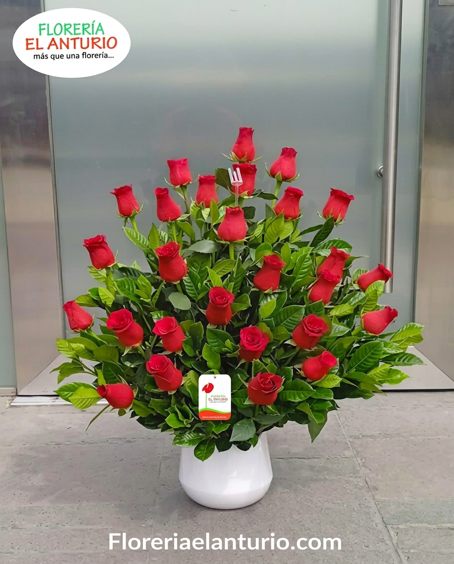 24 rosas rojas, fino follaje verde
