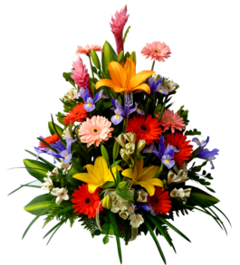  Gerberas, liliums, iris, aniversarios, inauguraci