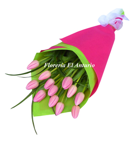 Ramo de tulipanes fucsias lima san isidro Perú 