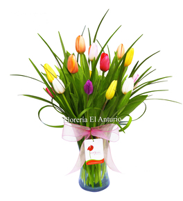 Florero con Tulipanes de Colores, Lima, Perú 