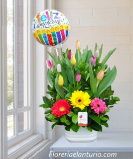 Delivery de tulipanes de colores en lima peru